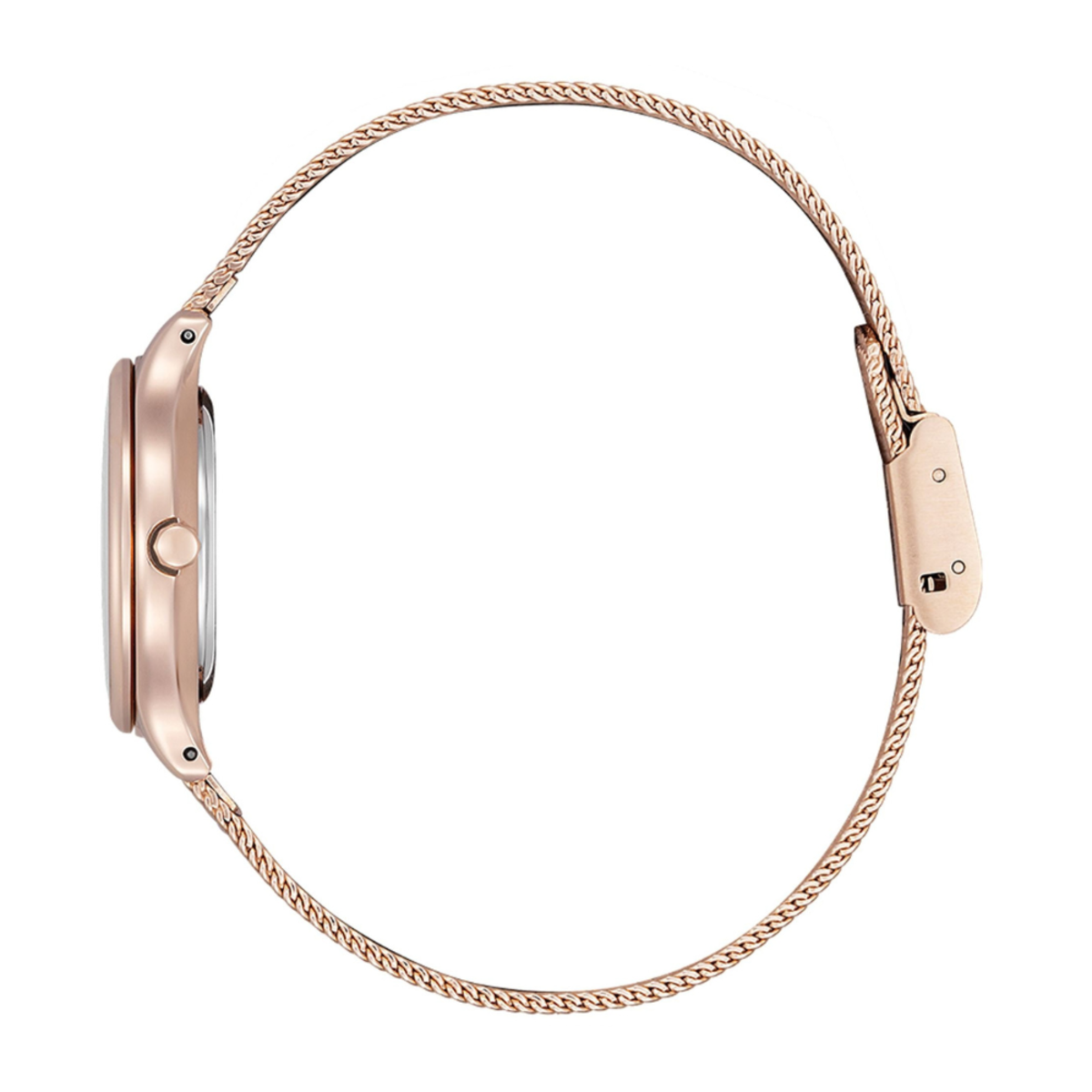 Citizen EW2638-56A Ladies Eco-Drive Watch