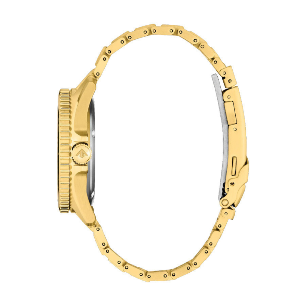 Citizen BN0262-59W | Eco-Drive Solar Dive Watch