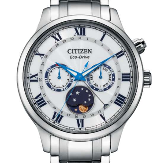 Citizen Eco-Drive AP1050-81A Moon Phase Male Watch
