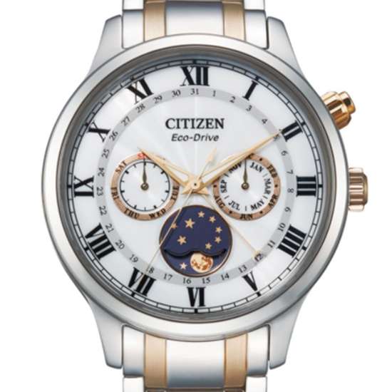 Citizen Eco-Drive AP1054-80A Moon Phase Male Watch