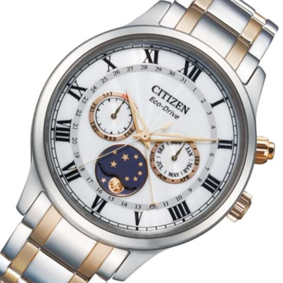 Citizen Eco-Drive AP1054-80A Moon Phase Male Watch