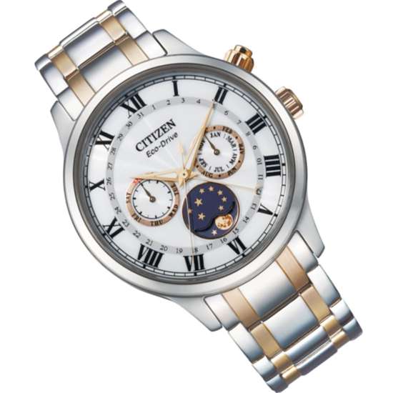 Citizen Eco-Drive AP1054-80A Moon Phase Male Watch