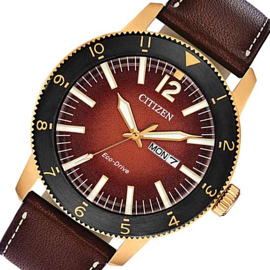 Citizen Eco-Drive AW0079-13X Leather Mens Sports Watch