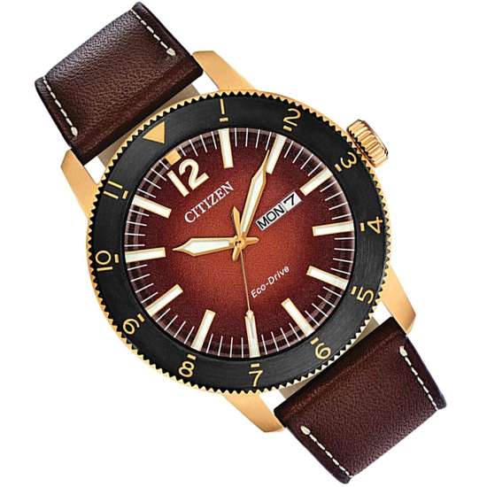 Citizen Eco-Drive AW0079-13X Leather Mens Sports Watch