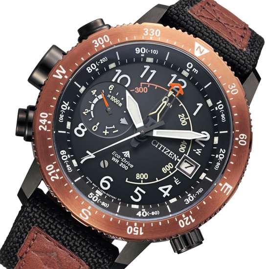 Citizen BN4049-11E Eco-Drive Compass Diving Watch