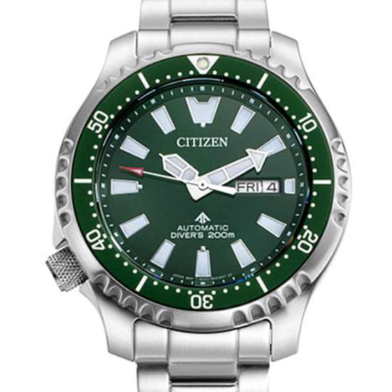 NY0131-81X Citizen Watch