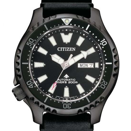 NY0139-11E Citizen Watch