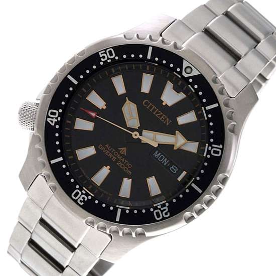 Citizen Promaster Fugu Dive Watch NY0090-86E