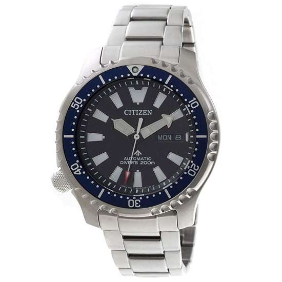 Citizen Promaster Fugu Dive Watch NY0098-84E