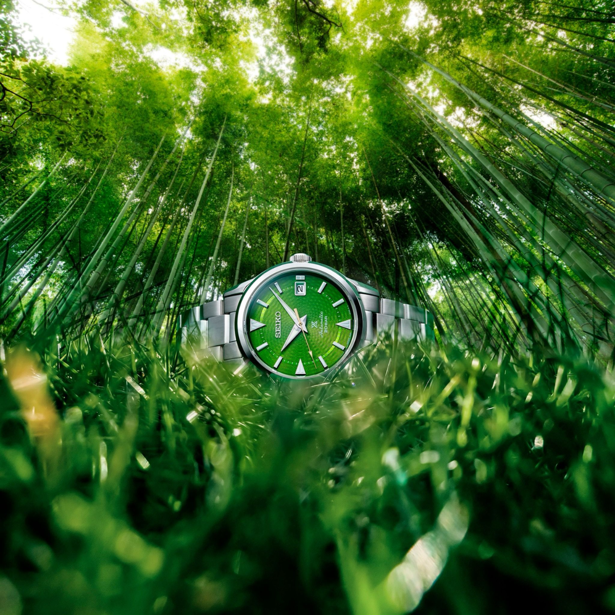 Seiko Prospex Alpinist SPB435J1 SPB435 SPB435J Laurel Save the Forest Bamboo Grove Watch - Skywatches