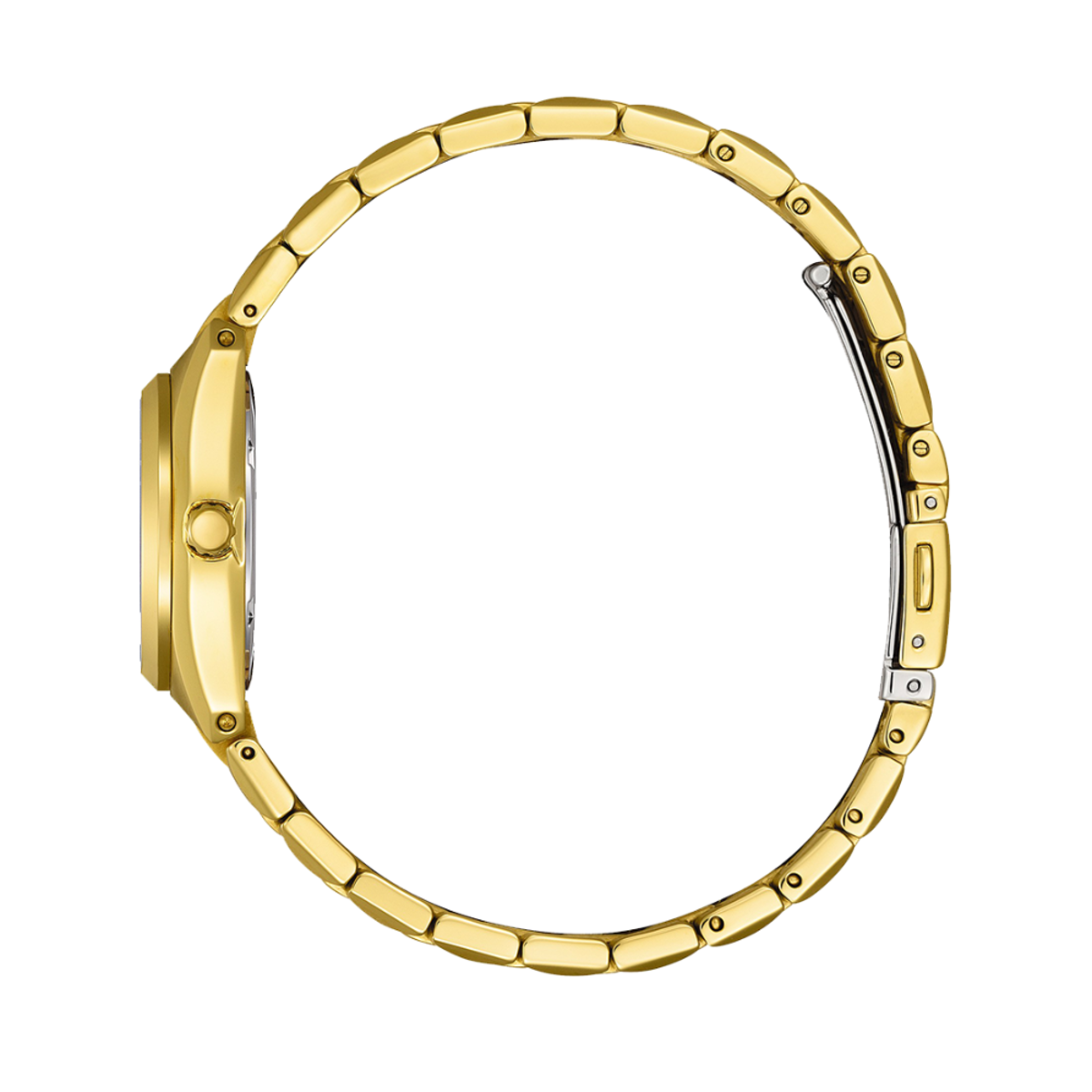 Citizen Eco-Drive Women Watch EW2293-56E