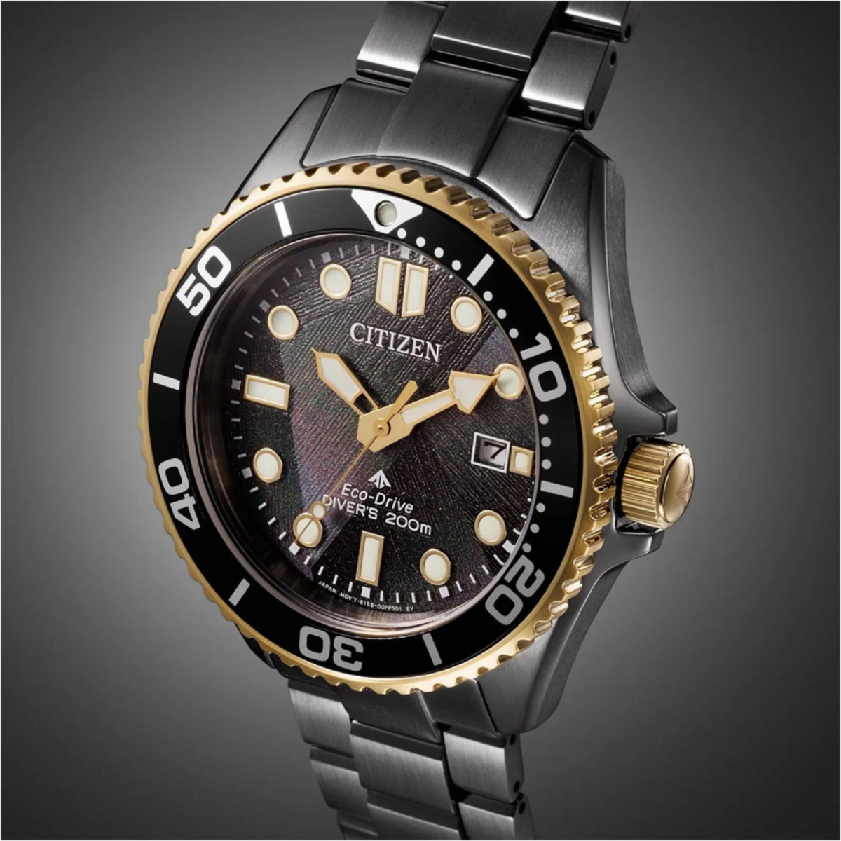 Citizen Promaster Dive BN0264-53E 50th Anniversary Eco-Drive Men's Watch