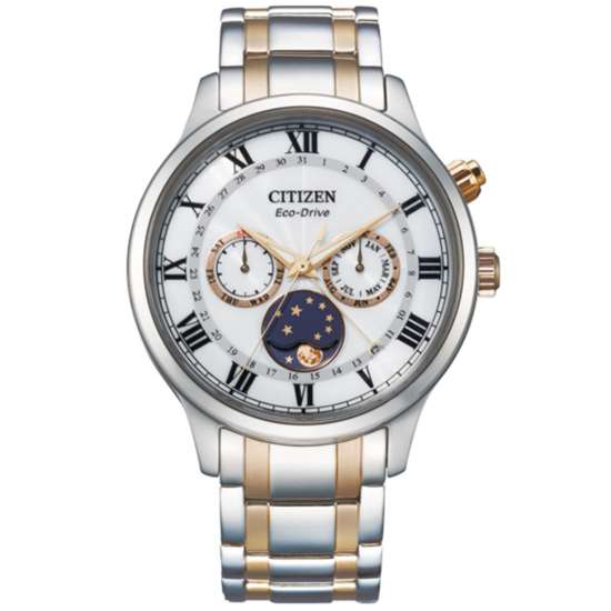 Citizen Eco-Drive AP1054-80A Moon Phase Male Watch