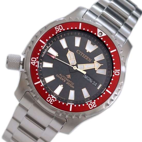 Citizen Promaster Fugu Dive Watch NY0091-83E