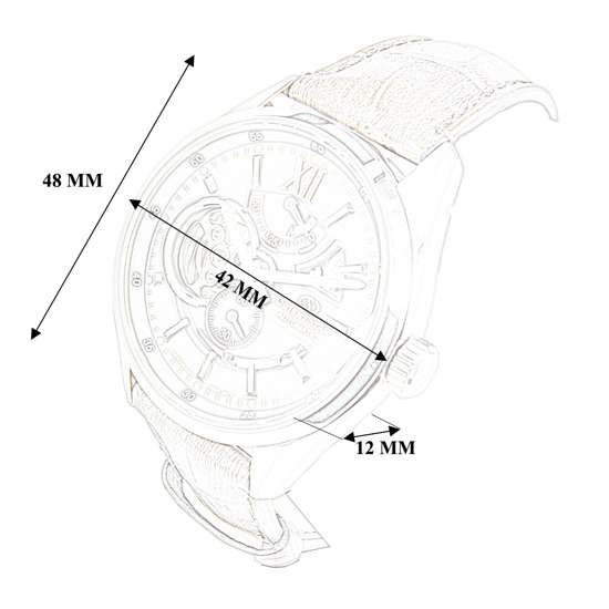 Orient Star Automatic Watch RE-AV0005L RE-AV0005L00B