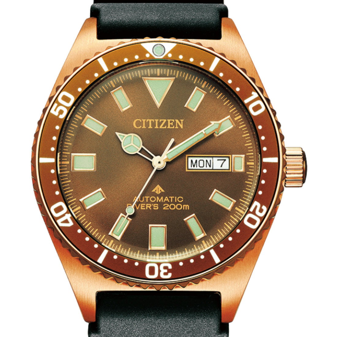 Citizen Promaster Marine NY0125-08W Automatic Dive Mens Watch